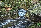 Abbey Pond Trail 2017